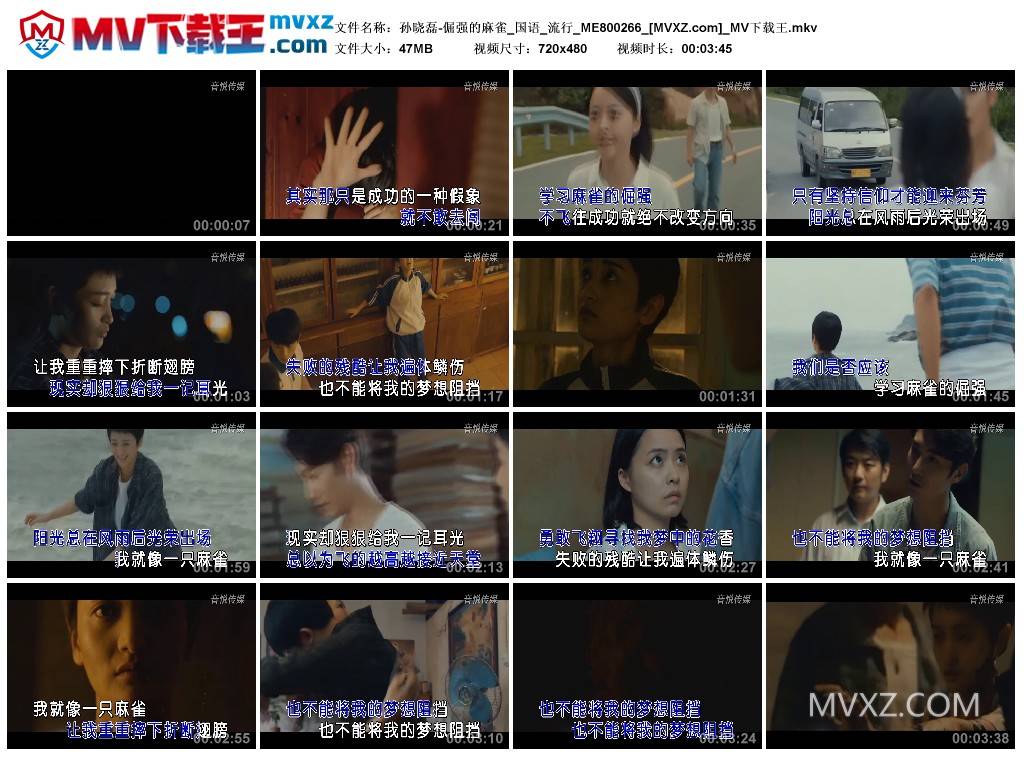 孙晓磊-倔强的麻雀_国语_流行_ME800266